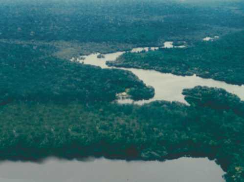 Si acerca el fin de la primera década del siglo XXI sin solucionar conceptualmente un problema estructural de Brasil y de toda la Amazonia Legal.  - Foto:uol