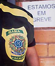 A greve dos servidores do Ibama é o centro nervoso por onde passam tanto as lutas dos trabalhadores públicos e o modelo de crescimento - Foto: